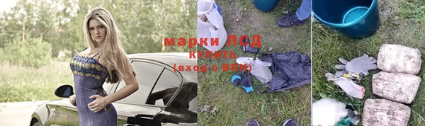 ГАЛЛЮЦИНОГЕННЫЕ ГРИБЫ Алзамай