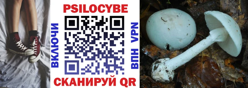 Галлюциногенные грибы Psilocybine cubensis  Тогучин 